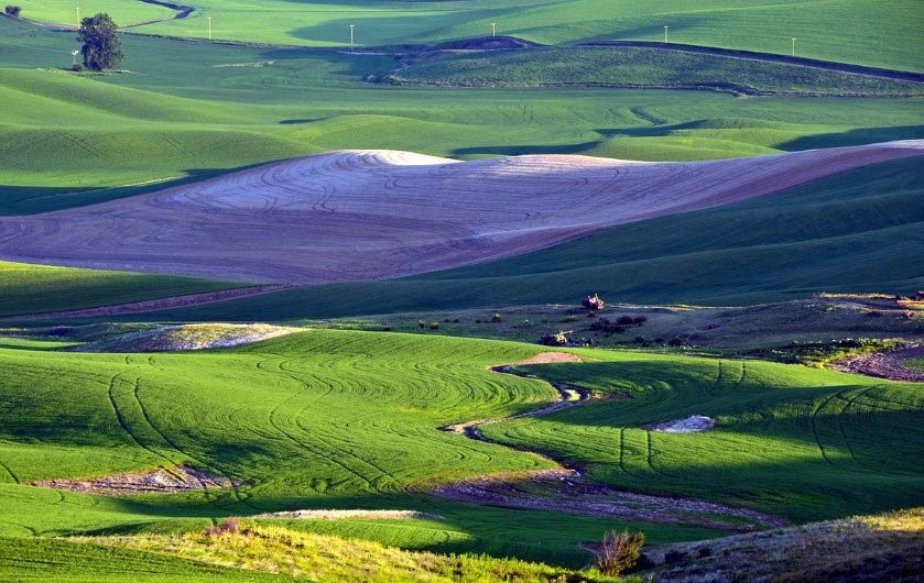 Steptoe Butte State Park Heritage Site